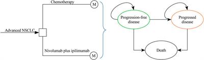 Cost-Effectiveness of Nivolumab Plus Ipilimumab as First-Line Therapy in Advanced Non–small-cell Lung Cancer